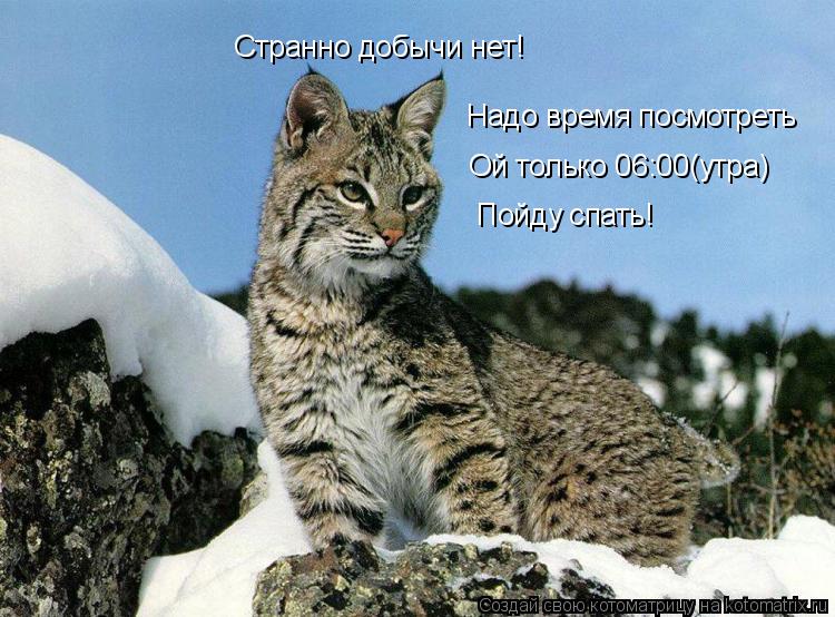 Странно добычи нет! Надо время посмотреть Ой только 06:00(утра) Пойду спать!... Котоматрица: Странно добычи нет! Надо время посмотреть Ой только 06:00(утра) Пойду спать!