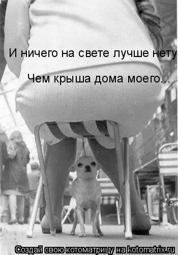 И ничего на свете лучше нету Чем крыша дома моего...... Котоматрица: И ничего на свете лучше нету Чем крыша дома моего...