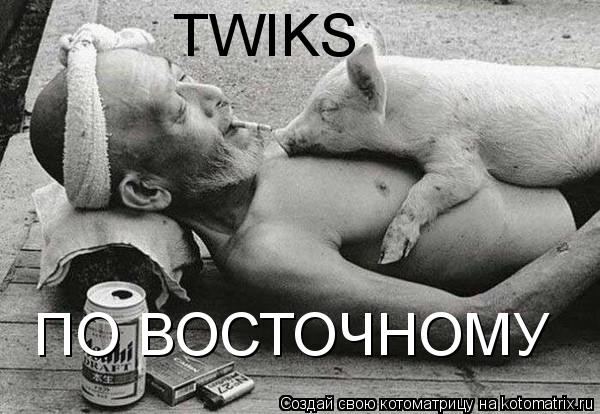 TWIKS ПО ВОСТОЧНОМУ... Котоматрица: TWIKS ПО ВОСТОЧНОМУ