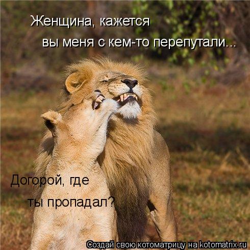 Догорой, где ты пропадал? вы меня с кем-то перепутали... Женщина, кажется... Котоматрица: Догорой, где ты пропадал? вы меня с кем-то перепутали... Женщина, кажется