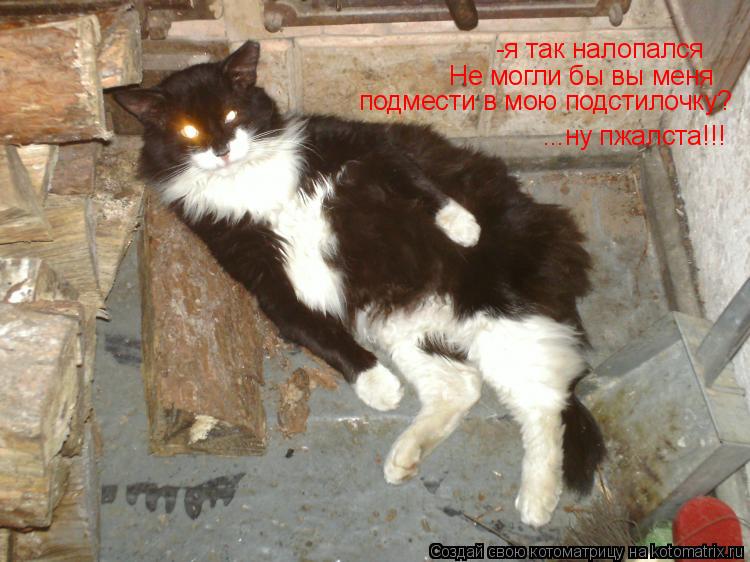 -я так налопался не могли бы вы меня подмести в мою подстилочку? Не могли бы вы меня подмести в мою ... Котоматрица: -я так налопался не могли бы вы меня подмести в мою подстилочку? Не могли бы вы меня подмести в мою подстилочку? ...ну пжалста!!!