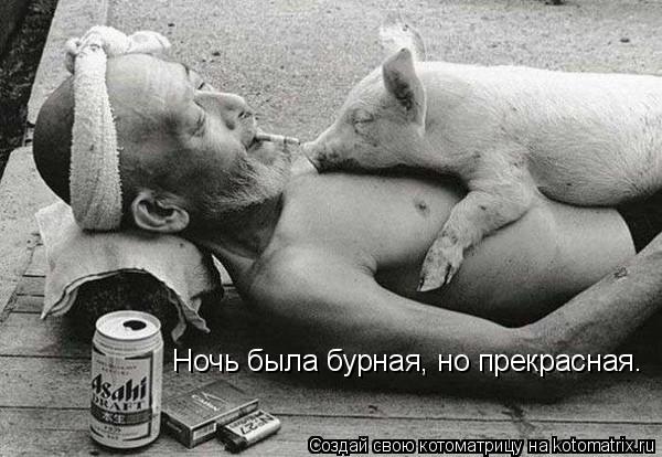 Ночь была бурная, но прекрасная.... Котоматрица: Ночь была бурная, но прекрасная.