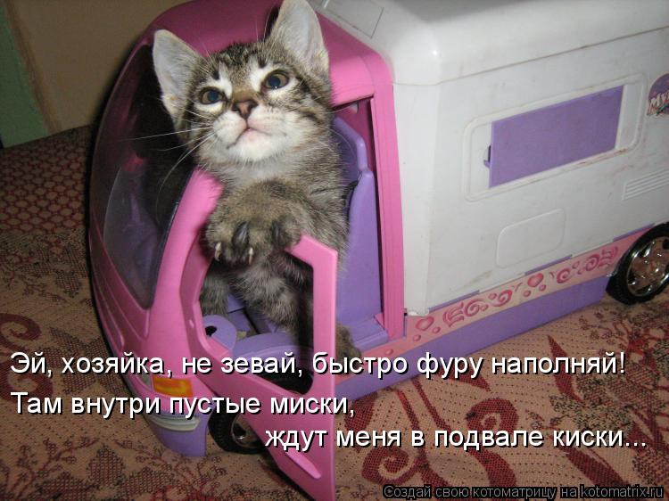 Эй, хозяйка, не зевай, быстро фуру наполняй! Там внутри пустые миски, ждут меня в подвале киски...... Котоматрица: Эй, хозяйка, не зевай, быстро фуру наполняй! Там внутри пустые миски, ждут меня в подвале киски...