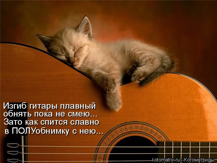 Котоматрица - Изгиб гитары плавный обнять пока не смею... Зато как спится славно в П
