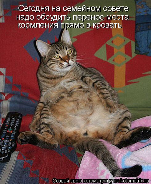 Сегодня на семейном совете надо обсудить перенос места кормления прямо в кровать... Котоматрица: Сегодня на семейном совете надо обсудить перенос места кормления прямо в кровать
