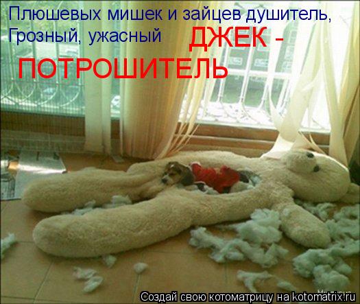 Котоматрица: Плюшевых мишек и зайцев душитель, Грозный, ужасный  ДЖЕК - ПОТРОШИТЕЛЬ