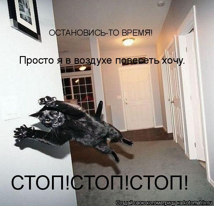 Котоматрица: ОСТАНОВИСЬ-ТО ВРЕМЯ! Просто я в воздухе повесеть хочу. СТОП!СТОП!СТОП!