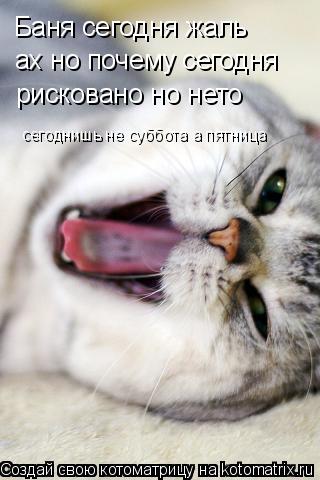 Котоматрица: Баня сегодня жаль ах но почему сегодня рисковано но нето сегоднишь не суббота а пятница