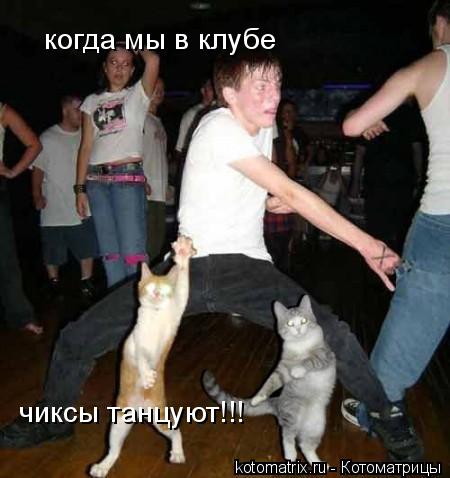 когда мы в клубе чиксы танцуют!!!... Котоматрица: когда мы в клубе чиксы танцуют!!!