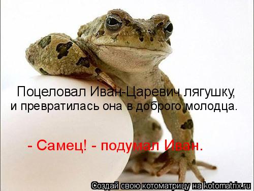 Поцеловал Иван-Царевич лягушку, и превратилась она в доброго молодца. - Самец! - подумал Иван.... Котоматрица: Поцеловал Иван-Царевич лягушку, и превратилась она в доброго молодца. - Самец! - подумал Иван.