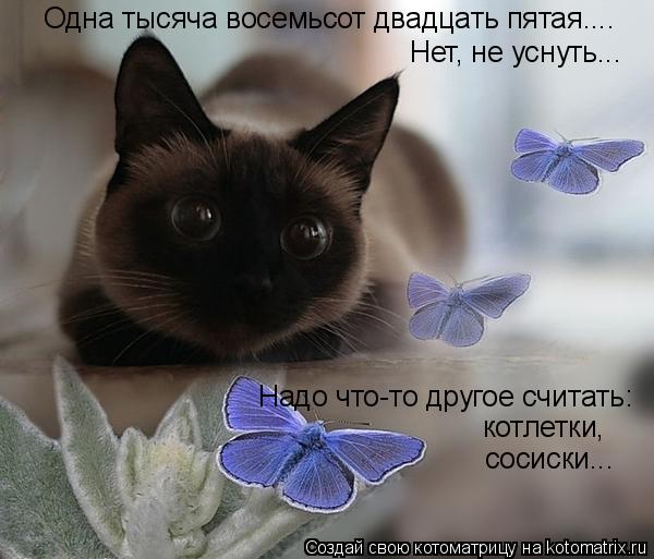 Одна тысяча восемьсот двадцать пятая.... Нет, не уснуть... Надо что-то другое считать: котлетки, соси... Котоматрица: Одна тысяча восемьсот двадцать пятая.... Нет, не уснуть... Надо что-то другое считать: котлетки, сосиски...