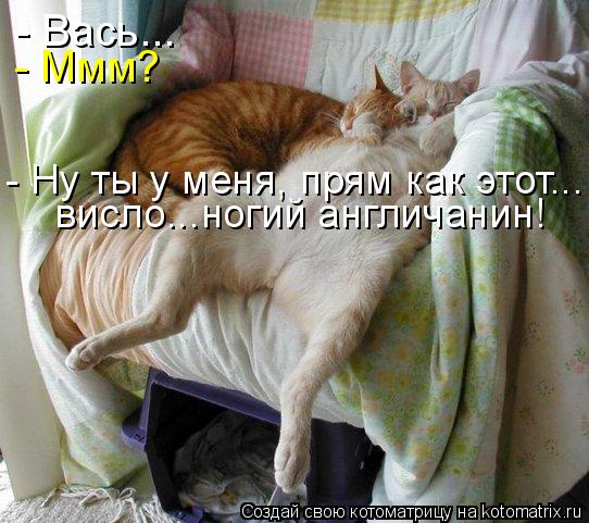 - Вась... - Ммм? - Ну ты у меня, прям как этот... висло...ногий англичанин!... Котоматрица: - Вась... - Ммм? - Ну ты у меня, прям как этот... висло...ногий англичанин!