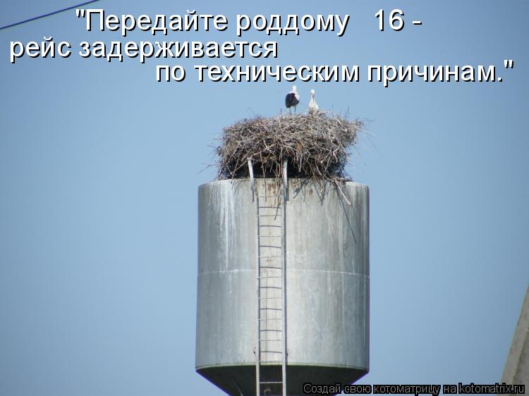 "Передайте роддому № 16 - рейс задерживается по техническим причинам."... Котоматрица: "Передайте роддому № 16 - рейс задерживается по техническим причинам."