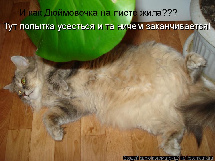 И как Дюймовочка на листе жила??? Тут попытка усесться и та ничем заканчивается!... Котоматрица: И как Дюймовочка на листе жила??? Тут попытка усесться и та ничем заканчивается!