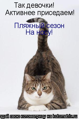 Так девочки! Активнее приседаем! Пляжный сезон На носу!... Котоматрица: Так девочки! Активнее приседаем! Пляжный сезон На носу!