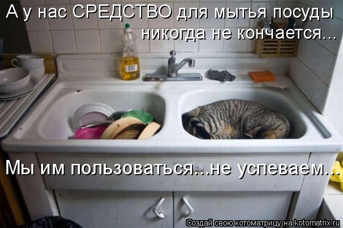 А у нас СРЕДСТВО для мытья посуды никогда не кончается... Мы им пользоваться...не успеваем...... Котоматрица: А у нас СРЕДСТВО для мытья посуды никогда не кончается... Мы им пользоваться...не успеваем...