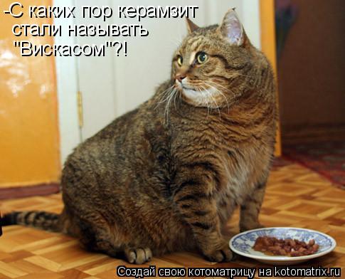 -С каких пор керамзит стали называть "Вискасом"?!... Котоматрица: -С каких пор керамзит стали называть "Вискасом"?!