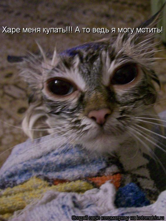 Харе меня купать!!! А то ведь я могу мстить!... Котоматрица: Харе меня купать!!! А то ведь я могу мстить!