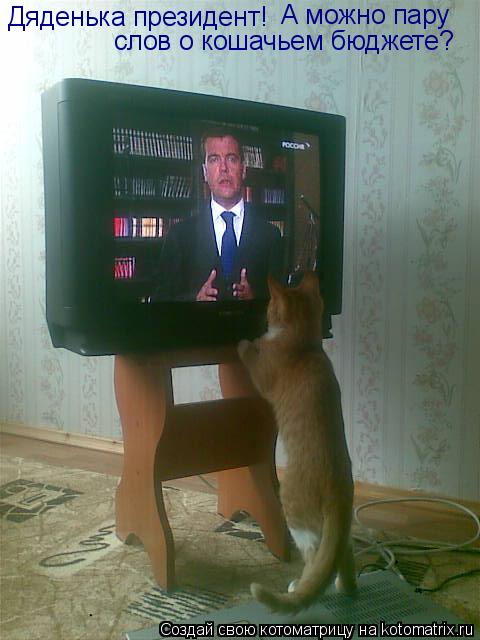 Дяденька президент! А можно пару слов о кошачьем бюджете?... Котоматрица: Дяденька президент! А можно пару слов о кошачьем бюджете?