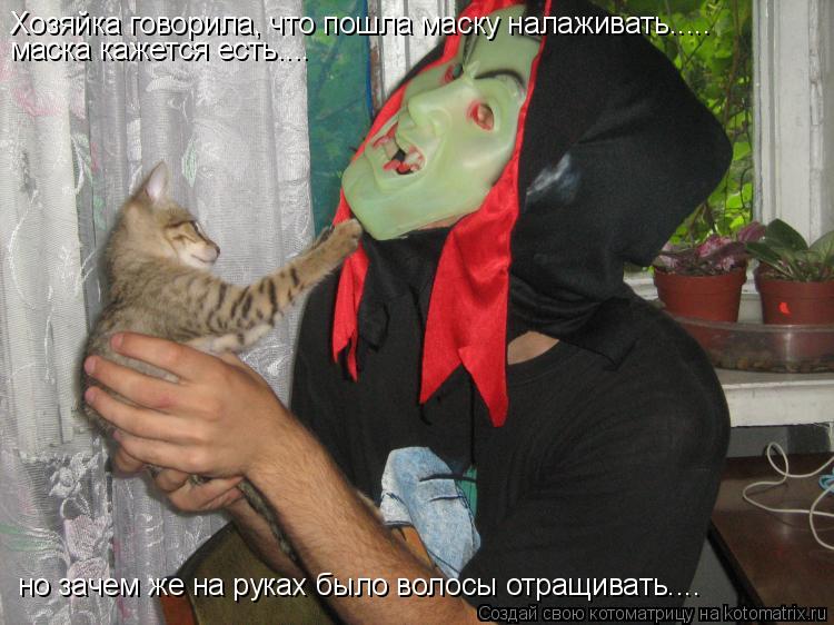 Хозяйка говорила, что пошла маску налаживать..... маска кажется есть.... но зачем же на руках было во... Котоматрица: Хозяйка говорила, что пошла маску налаживать..... маска кажется есть.... но зачем же на руках было волосы отращивать....