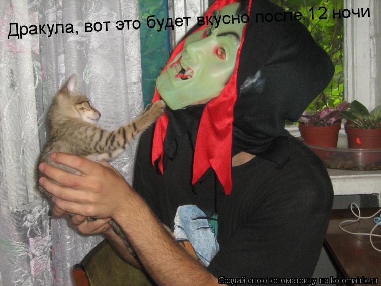 Дракула, вот это будет вкусно после 12 ночи... Котоматрица: Дракула, вот это будет вкусно после 12 ночи