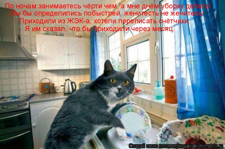 По ночам занимаетесь чёрти чем, а мне днём уборку делать! Вы бы определились побыстрей, женитесть не ... Котоматрица: По ночам занимаетесь чёрти чем, а мне днём уборку делать! Вы бы определились побыстрей, женитесть не женитесь! Приходили из ЖЭК-а, хотели пер