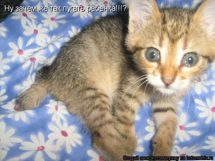 Ну зачем же так пугать ребёнка!!!?... Котоматрица: Ну зачем же так пугать ребёнка!!!?