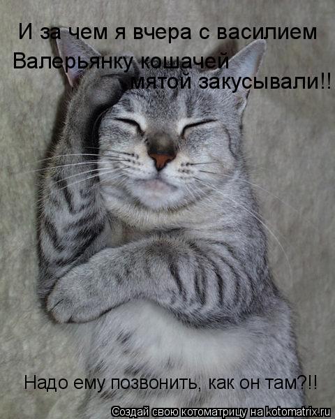 И за чем я вчера с василием Валерьянку кошачей мятой закусывали!! Надо ему позвонить, как он там?!!... Котоматрица: И за чем я вчера с василием Валерьянку кошачей мятой закусывали!! Надо ему позвонить, как он там?!!