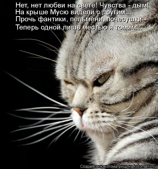 Нет, нет любви на свете! Чувства - дым! На крыше Мусю видели с другим... Прочь фантики, пельмени, поч... Котоматрица: Нет, нет любви на свете! Чувства - дым! На крыше Мусю видели с другим... Прочь фантики, пельмени, почесушки - Теперь одной лишь местью я томим!..