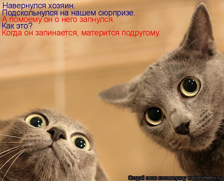 Навернулся хозяин. Подскольнулся на нашем сюрпризе. А помоему он о него запнулся. Как это? Когда он ... Котоматрица: Навернулся хозяин. Подскольнулся на нашем сюрпризе. А помоему он о него запнулся. Как это? Когда он запинается, матерится подругому.