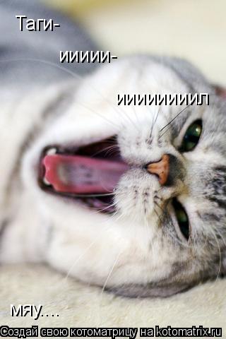 Таги- иииии- иииииииил мяу....... Котоматрица: Таги- иииии- иииииииил мяу....