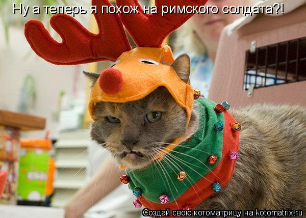 Ну а теперь я похож на римского солдата?!... Котоматрица: Ну а теперь я похож на римского солдата?!