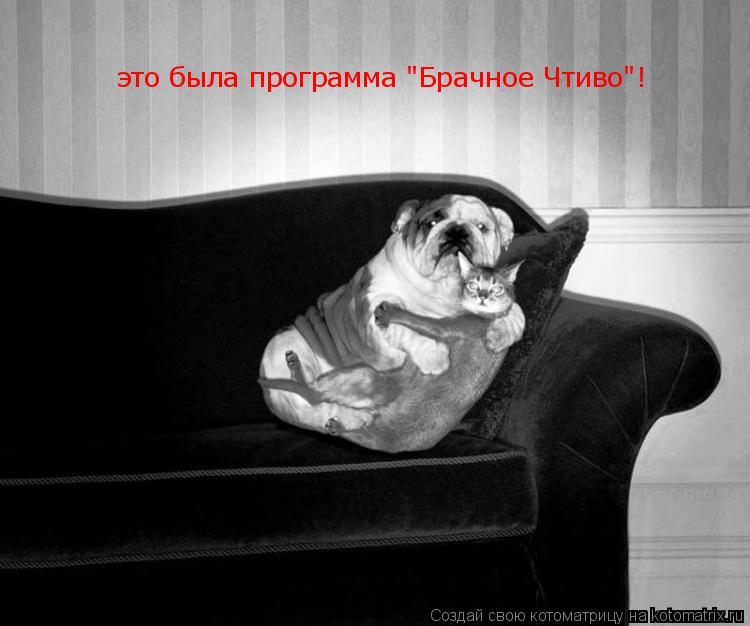 это была программа "Брачное Чтиво"!... Котоматрица: это была программа "Брачное Чтиво"!