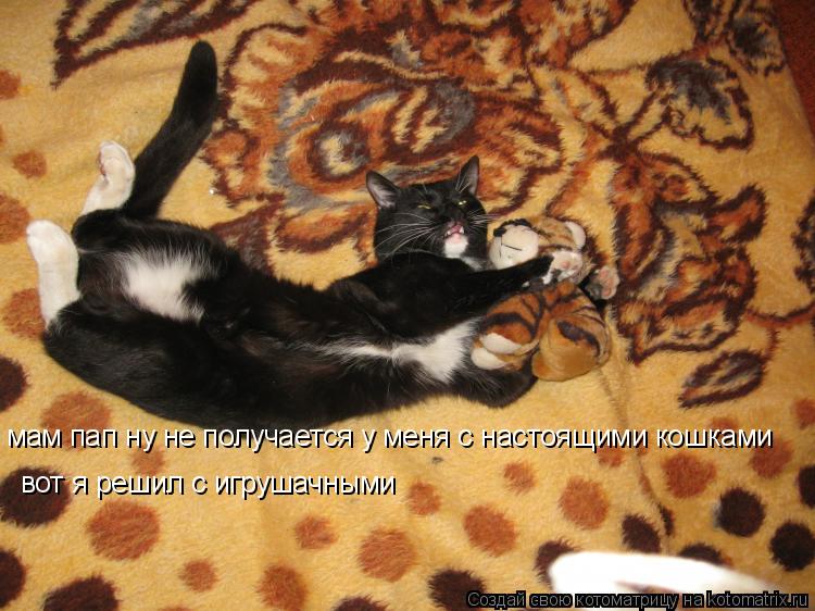 мам пап ну не получается у меня с настоящими кошками вот я решил с игрушачными... Котоматрица: мам пап ну не получается у меня с настоящими кошками вот я решил с игрушачными