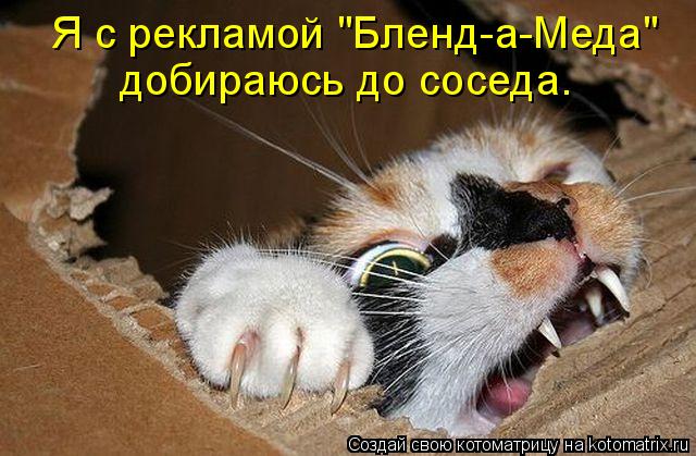 Я с рекламой "Бленд-а-Меда" добираюсь до соседа.... Котоматрица: Я с рекламой "Бленд-а-Меда" добираюсь до соседа.