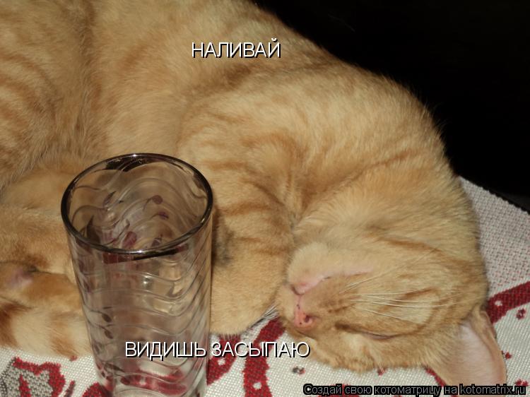 НАЛИВАЙ ВИДИШЬ ЗАСЫПАЮ... Котоматрица: НАЛИВАЙ ВИДИШЬ ЗАСЫПАЮ