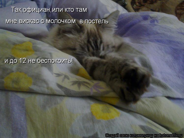 Так,официан,или кто там мне вискас с молочком в постель и до 12 не беспокоить!... Котоматрица: Так,официан,или кто там мне вискас с молочком в постель и до 12 не беспокоить!