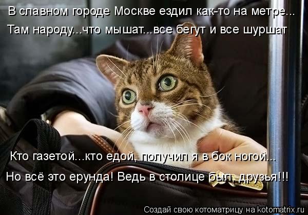 В славном городе Москве ездил как-то на метре... Там народу...что мышат...все бегут и все шуршат Кто ... Котоматрица: В славном городе Москве ездил как-то на метре... Там народу...что мышат...все бегут и все шуршат Кто газетой...кто едой, получил я в бок ногой... Н