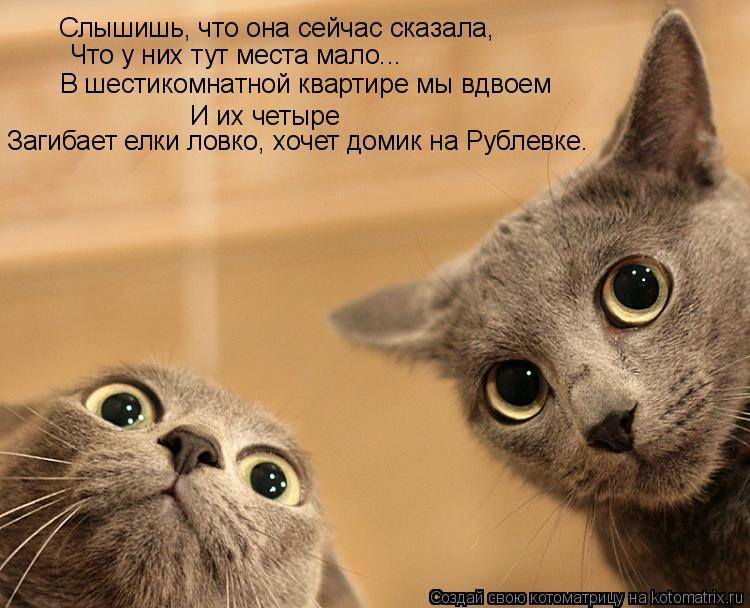 Слышишь, что она сейчас сказала, Что у них тут места мало... В шестикомнатной квартире мы вдвоем И их... Котоматрица: Слышишь, что она сейчас сказала, Что у них тут места мало... В шестикомнатной квартире мы вдвоем И их четыре Загибает елки ловко, хочет домик