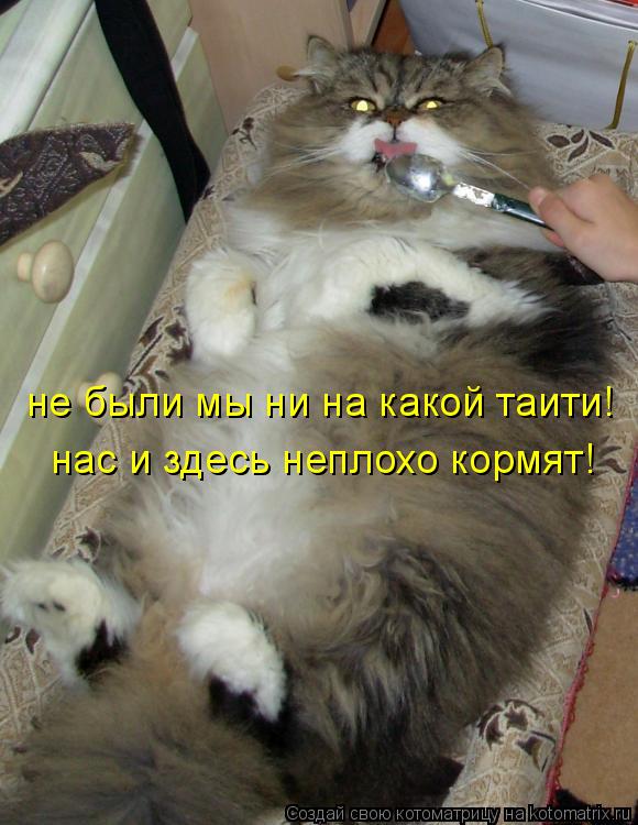 не были мы ни на какой таити! нас и здесь неплохо кормят! не были мы ни на какой таити! нас и здесь ... Котоматрица: не были мы ни на какой таити! нас и здесь неплохо кормят! не были мы ни на какой таити! нас и здесь неплохо кормят!