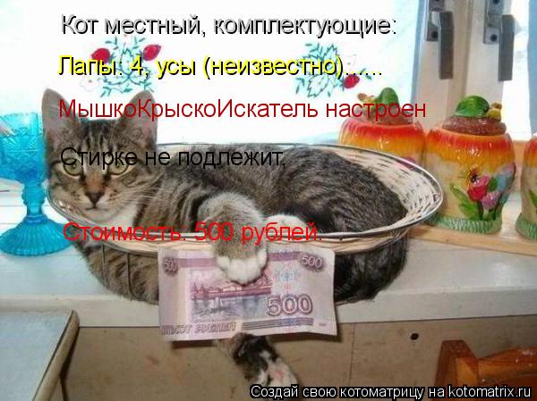 Котоматрица: Кот местный, комплектующие: Лапы: 4, усы (неизвестно)...... МышкоКрыскоИскатель настроен Стирке не подлежит, Стоимость: 500 рублей.