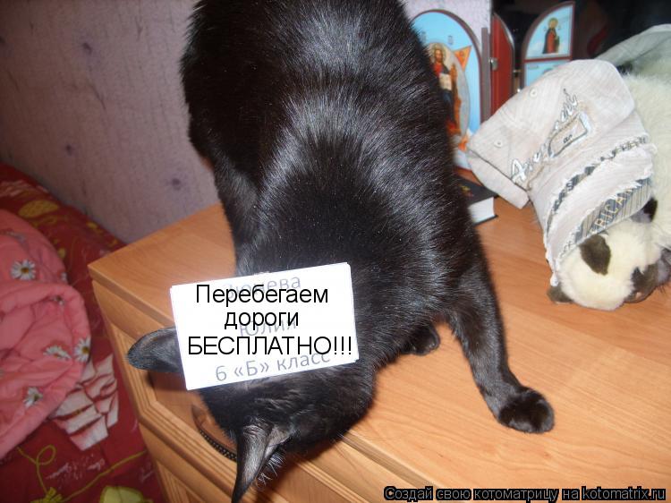 Котоматрица: Перебегаем дороги БЕСПЛАТНО!!!