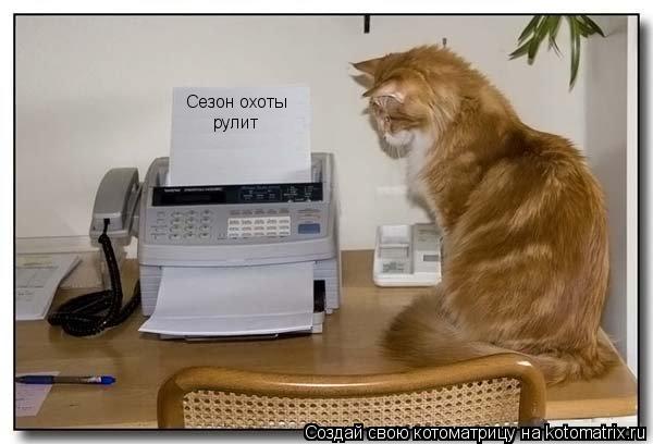 Котоматрица: Сезон охоты рулит