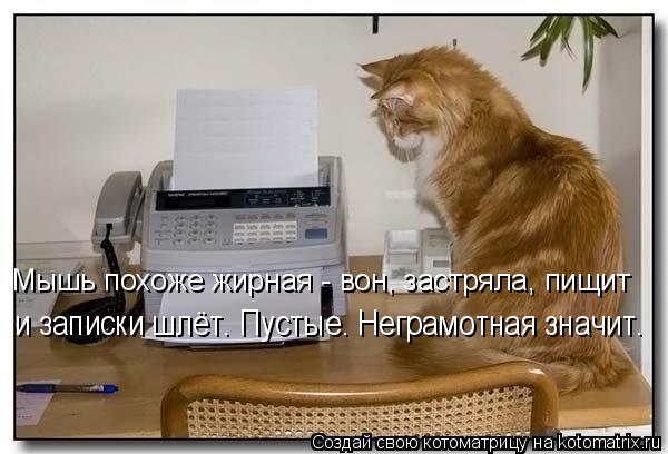 Котоматрица: Мышь похоже жирная - вон, застряла, пищит  и записки шлёт. Пустые. Неграмотная значит.
