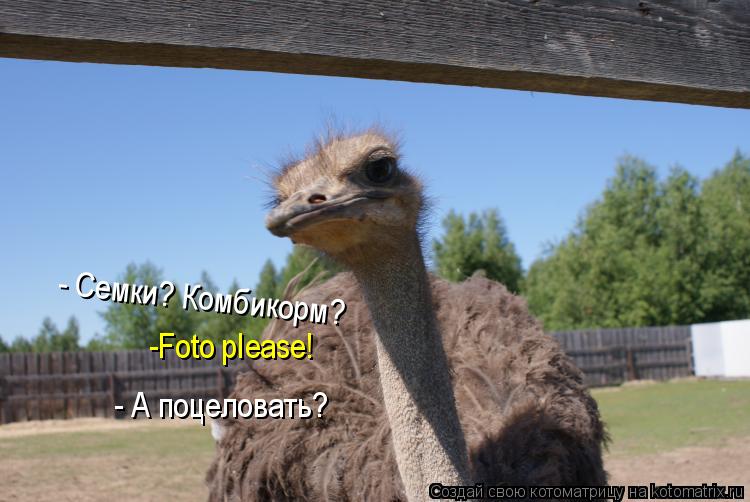 Котоматрица: - Семки? Комбикорм?  -Foto please! - А поцеловать?