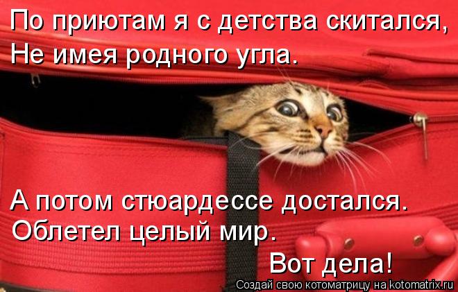 Котоматрица: По приютам я с детства скитался,  Не имея родного угла. А потом стюардессе достался.  Облетел целый мир. Вот дела!