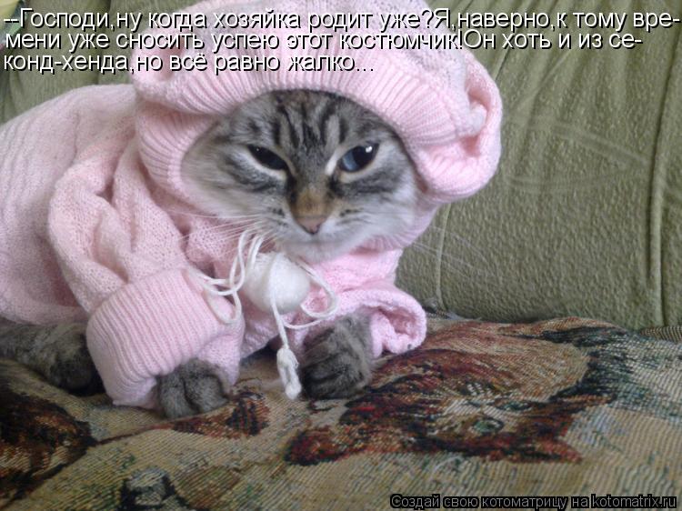 Котоматрица: --Господи,ну когда хозяйка родит уже?Я,наверно,к тому вре- мени уже сносить успею этот костюмчик!Он хоть и из се- конд-хенда,но всё равно жалко