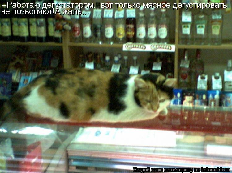 Котоматрица: --Работаю дегустатором...вот только мясное дегустировать не позволяют!А жаль...