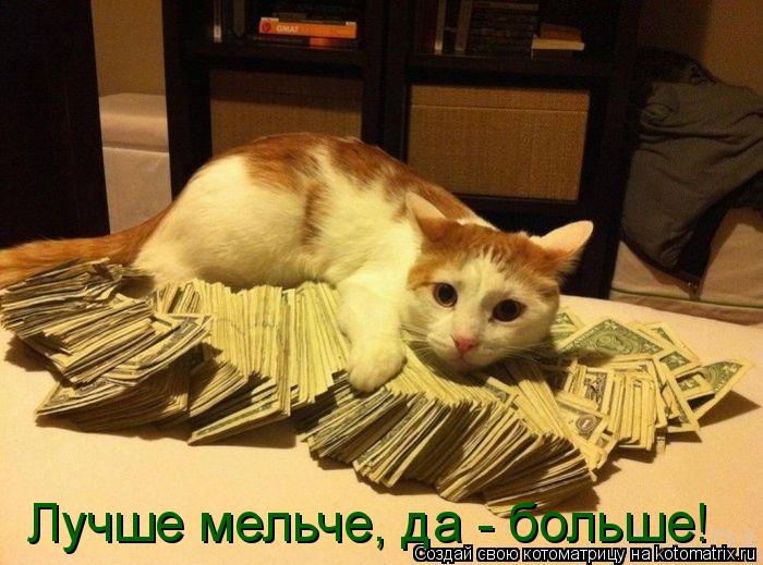 Котоматрица: Лучше мельче, да - больше!