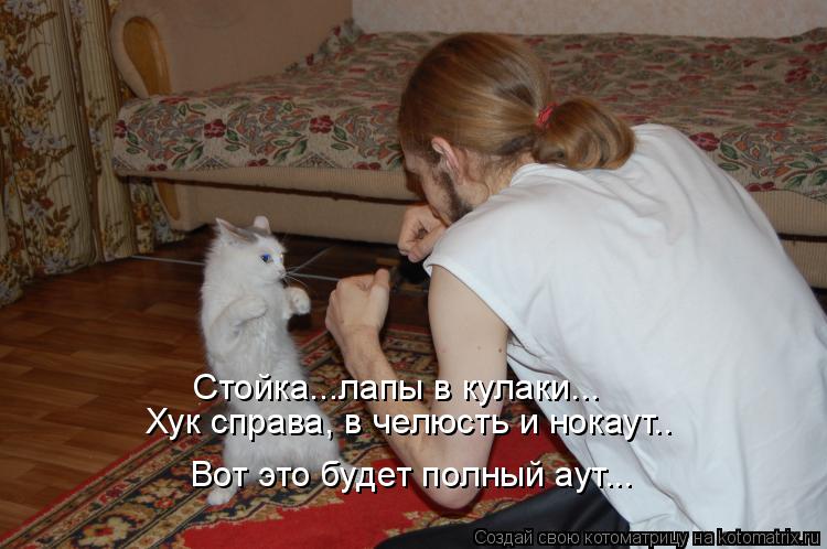 Котоматрица: Стойка...лапы в кулаки... Хук справа, в челюсть и нокаут.. Вот это будет полный аут...
